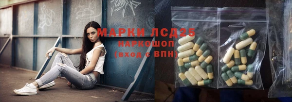 сатива Бородино