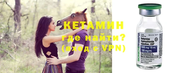 сатива Бородино