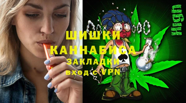 сатива Бородино