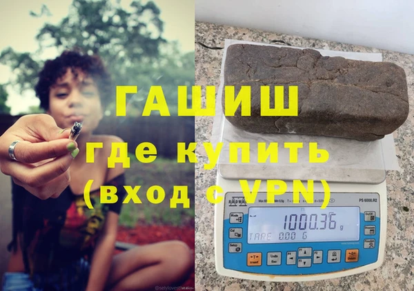 сатива Бородино