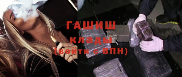 сатива Бородино