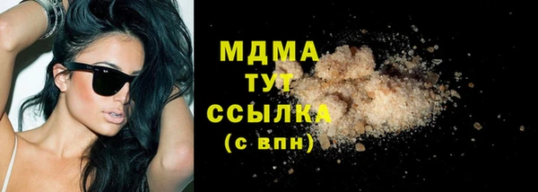 сатива Бородино