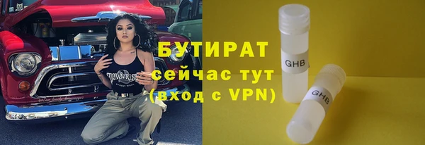 сатива Бородино