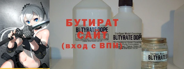 сатива Бородино