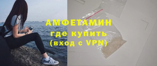 сатива Бородино