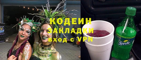 сатива Бородино