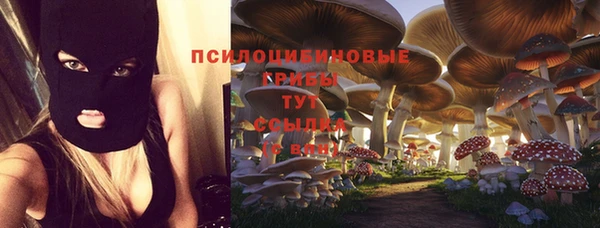герыч Бронницы