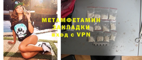 сатива Бородино