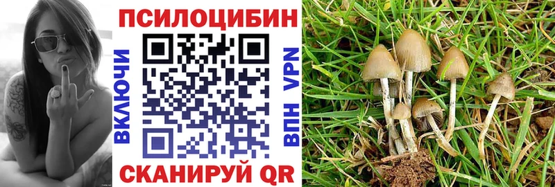 Псилоцибиновые грибы Cubensis  Выборг 